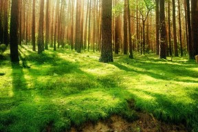 世界自行车公开赛：团队协同与个人突围并重，2020年世界自行车比赛